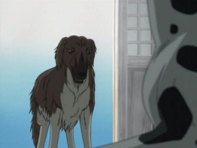 Datei:Jet Anime1.png
