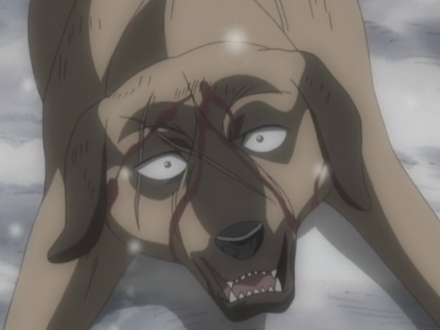 Datei:Buruge Anime6.png
