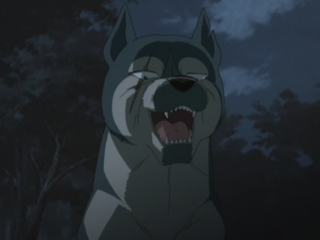 Datei:Blue Anime1.png