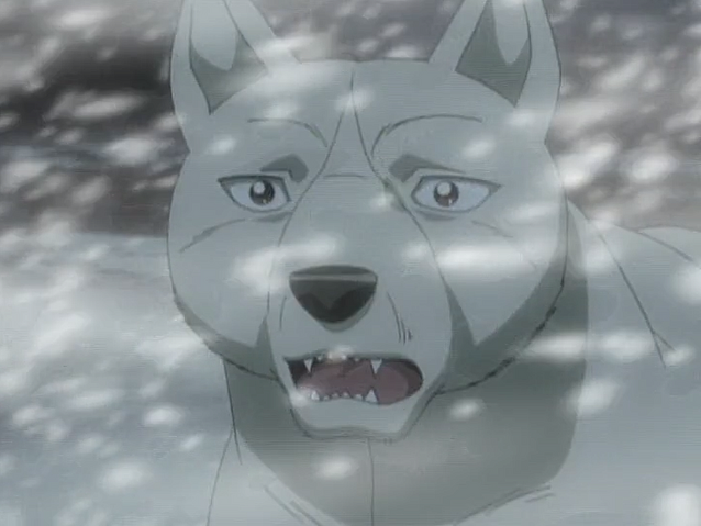 Datei:Akame Anime4.png