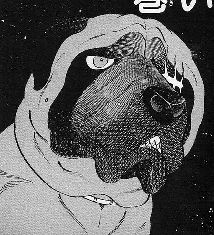 Datei:TerryGNGManga.jpg