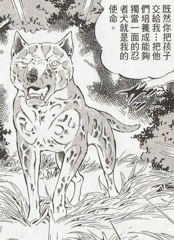 File:Chourou10.jpg