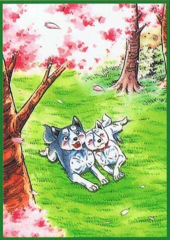 File:Weed and koyuki.jpg