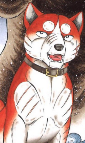 Файл:Riki.png
