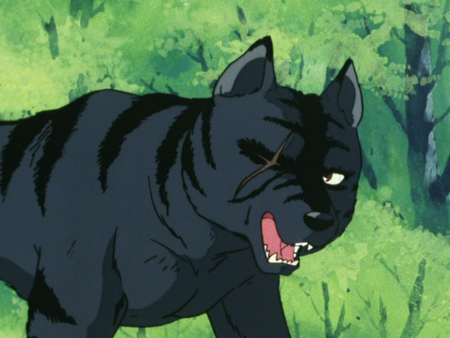 Файл:Kurototra.png