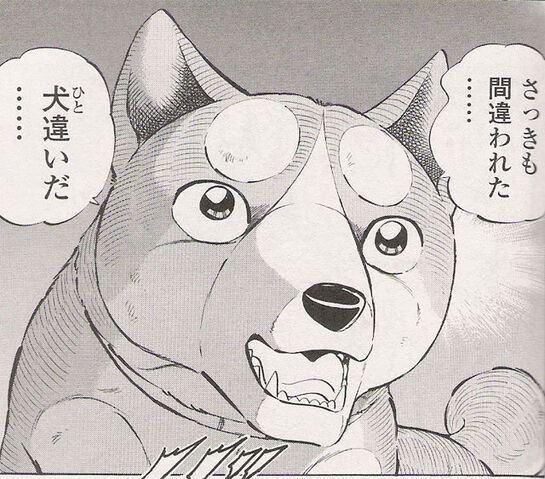 File:Joe.jpeg