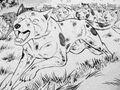 Thumbnail for version as of 17:15, April 1, 2013
