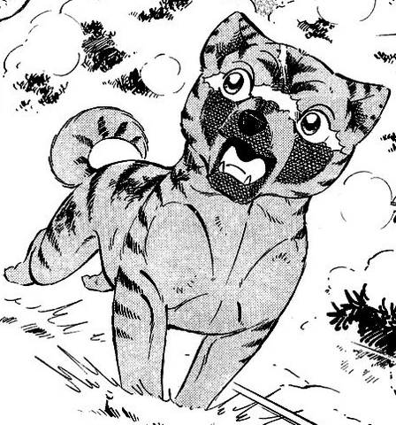 File:Biko5.png