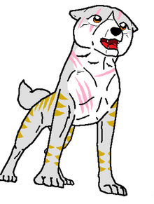Dogu
