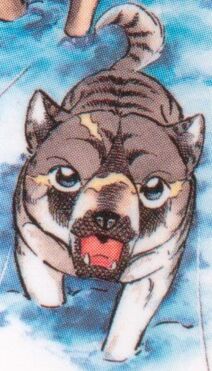 Yamabikolumessa
