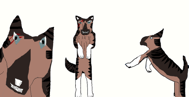 File:Choko.png