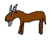 Badly Drawn Goat