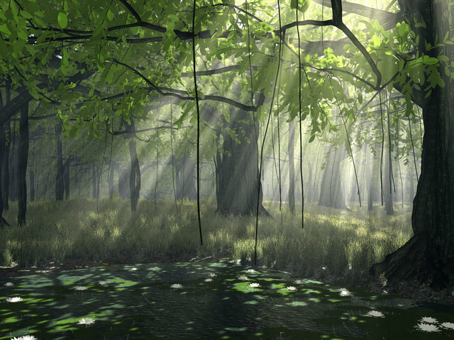 File:Wikia-Visualization-Main.png