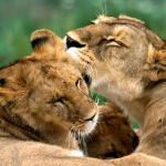 File:150px-4679740.png