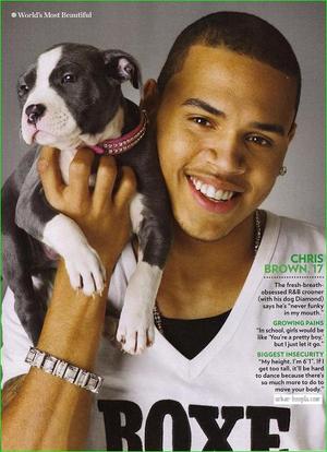 File:Chris Brown boxer.jpg