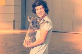 File:Harry styles.jpg