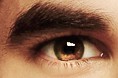 File:EYEBROW2.jpg
