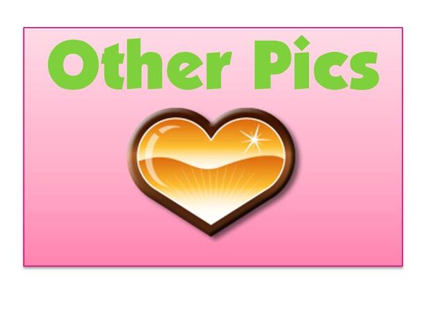 File:Other pictures.jpg