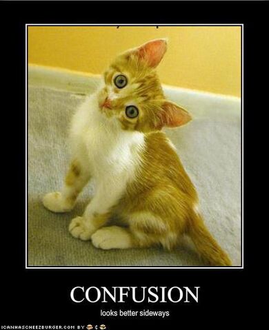 File:Confusion.jpg