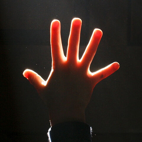 File:Five.jpg