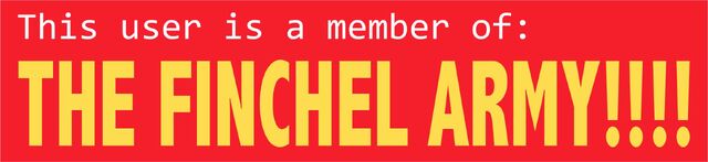 File:FICNHELARMYMEMBER.jpg