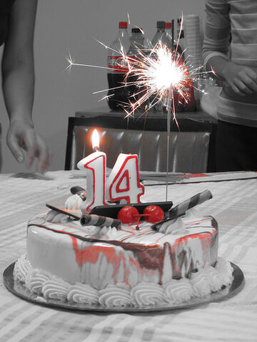 File:14th-birthday-cake.jpg