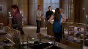 Glee 0355-1.jpg