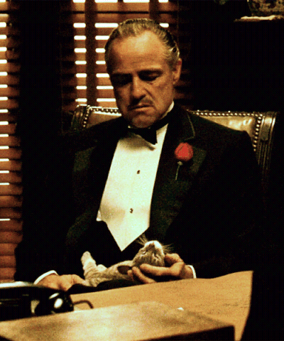File:Tumblr lysa6wAqLt1qljip5o1 500.gif