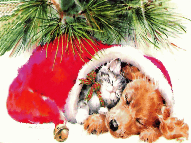 File:Catdog.gif