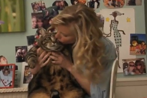File:Gleebrittanyfatcat.jpg