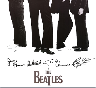 File:Bgff2.PNG