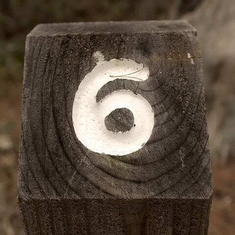 File:6 Days Remaining....jpg