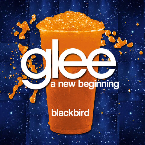 File:Blackbird.jpg