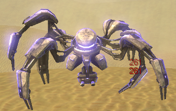 Sand Spider