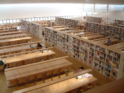 BIBLIOTECA INTERIOR.jpg