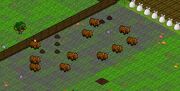 Pasture.jpg