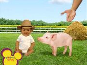 Farm