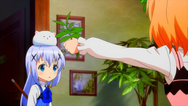 File:Seriously Chino, Herbal Tea!.jpg