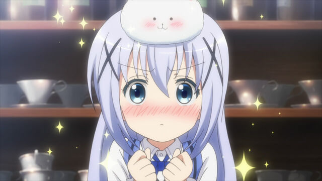 File:Chino's Fluffy Cuddle!!!!!.jpg