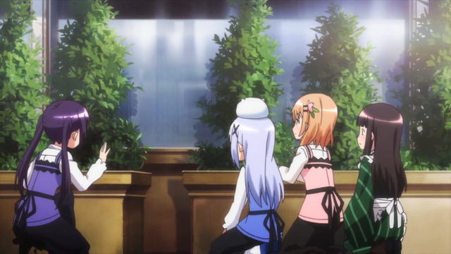 File:23.5.png