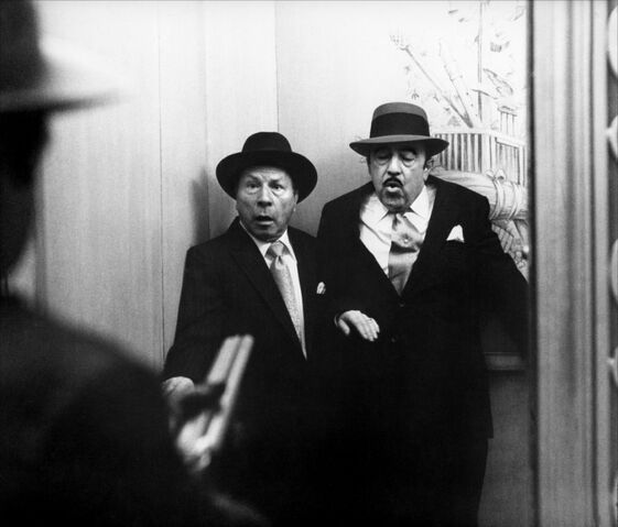 File:Stracci whacked.jpg