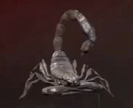 Escorpión.jpg