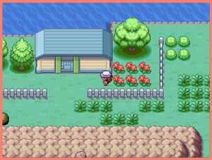 Route 4 research station