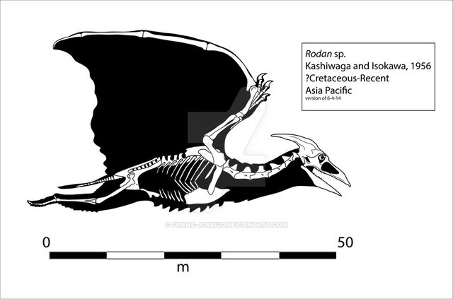 File:Ronan skeletonimage.jpeg