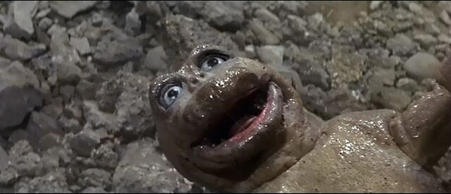File:Newborn Minilla.jpg