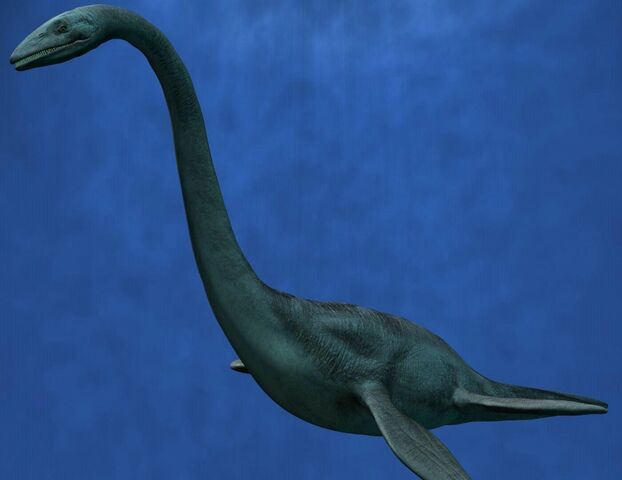 File:Lake Champlain Monster (Champ).jpg