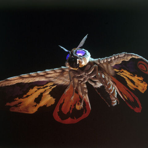 File:Godzilla.jp - Mothra 2001.jpg