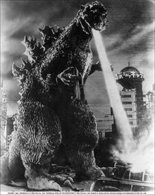 Gojira 1954.jpg