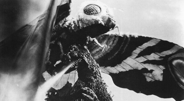 File:MVG - Godzilla Uses Radioactive Heat Ray On Mothra.jpg