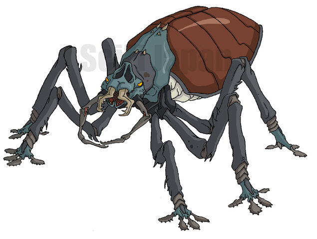 File:Giant Water Beetle.jpg